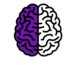 Brain